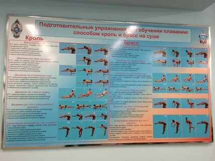 Сухое плавание упражнения для плавания на суше