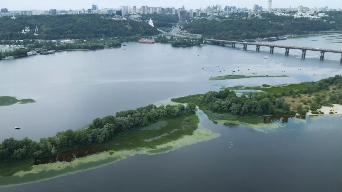 Река гиб. Днепр зеленая вода. Экологическая катастрофа Днепр. Река Днепр в Запорожье мельчает.