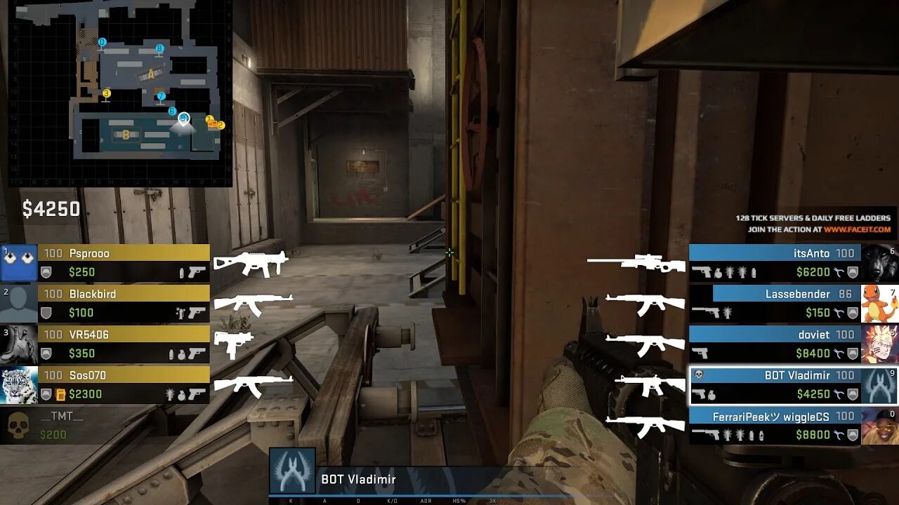 What can this bot do