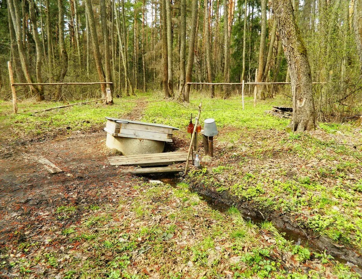 Погода губино воскресенский. Деревня Губино Томская область. Родник в деревне Губино. Родник Воскресенский район. Деревня Губино Воскресенского района Московской области.