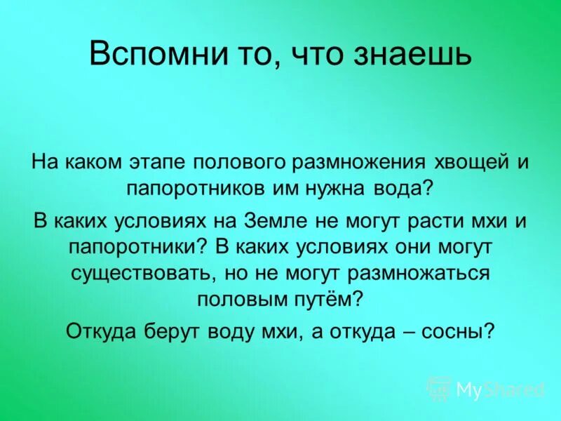 Почему мхам нужна вода. Папоротник нужна вода. Для размножения мхов нужна вода. Папоротникам нужна вода для размножения. Хвощам нужна вода для размножения.