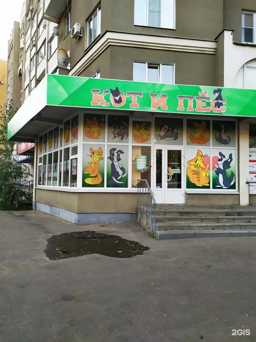 магазин кот и пес. магазин кот и пес архангельск. зоомагазин "кот и пёс" бузулук. кот и пес тамбов. зоомагазин кот и пёс тамбов.