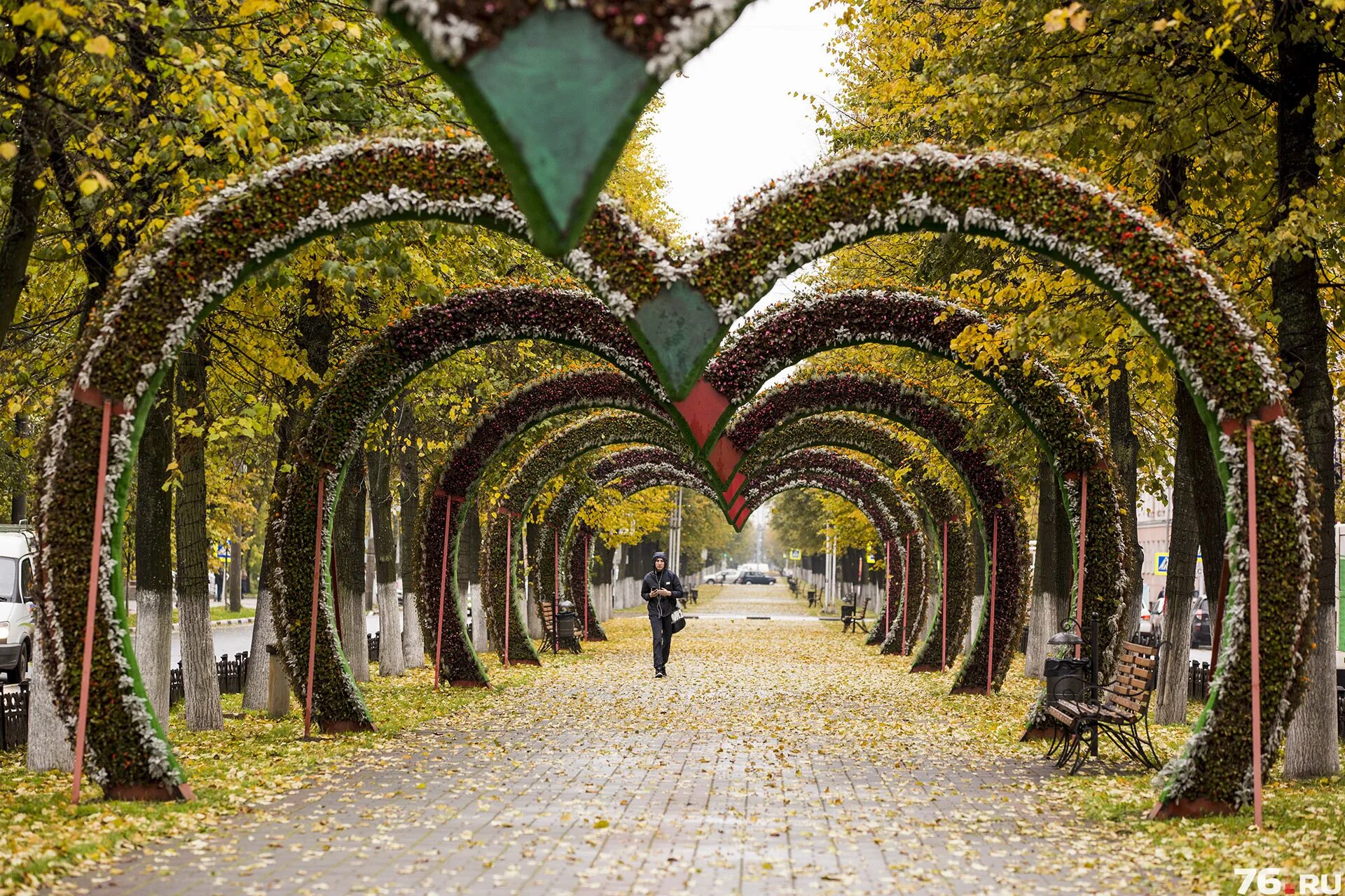 Где можно погулять в городе. Красивые парки Ярославля. Ярославль в октябре. Ярославль осенью. Где можно погулять в Москве красивые места.