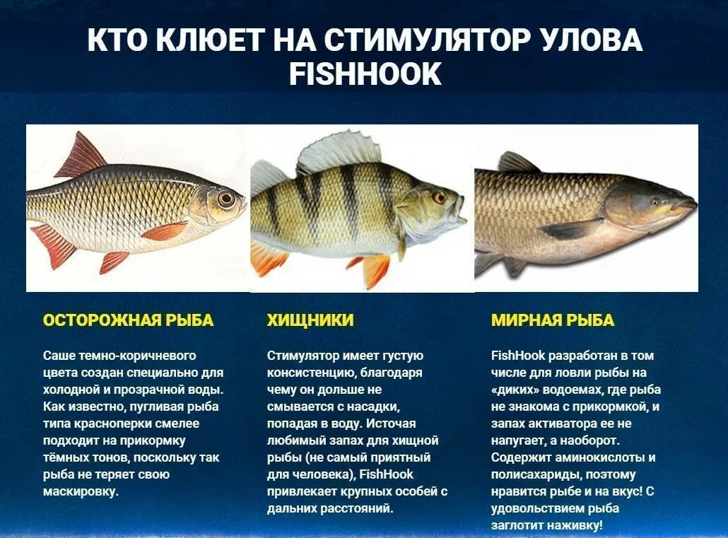 Хищные рыбы и мирные рыбы. Насадки для мирной рыбы. Мирная рыба. Какие запахи любит рыба. Как понравиться рыбам
