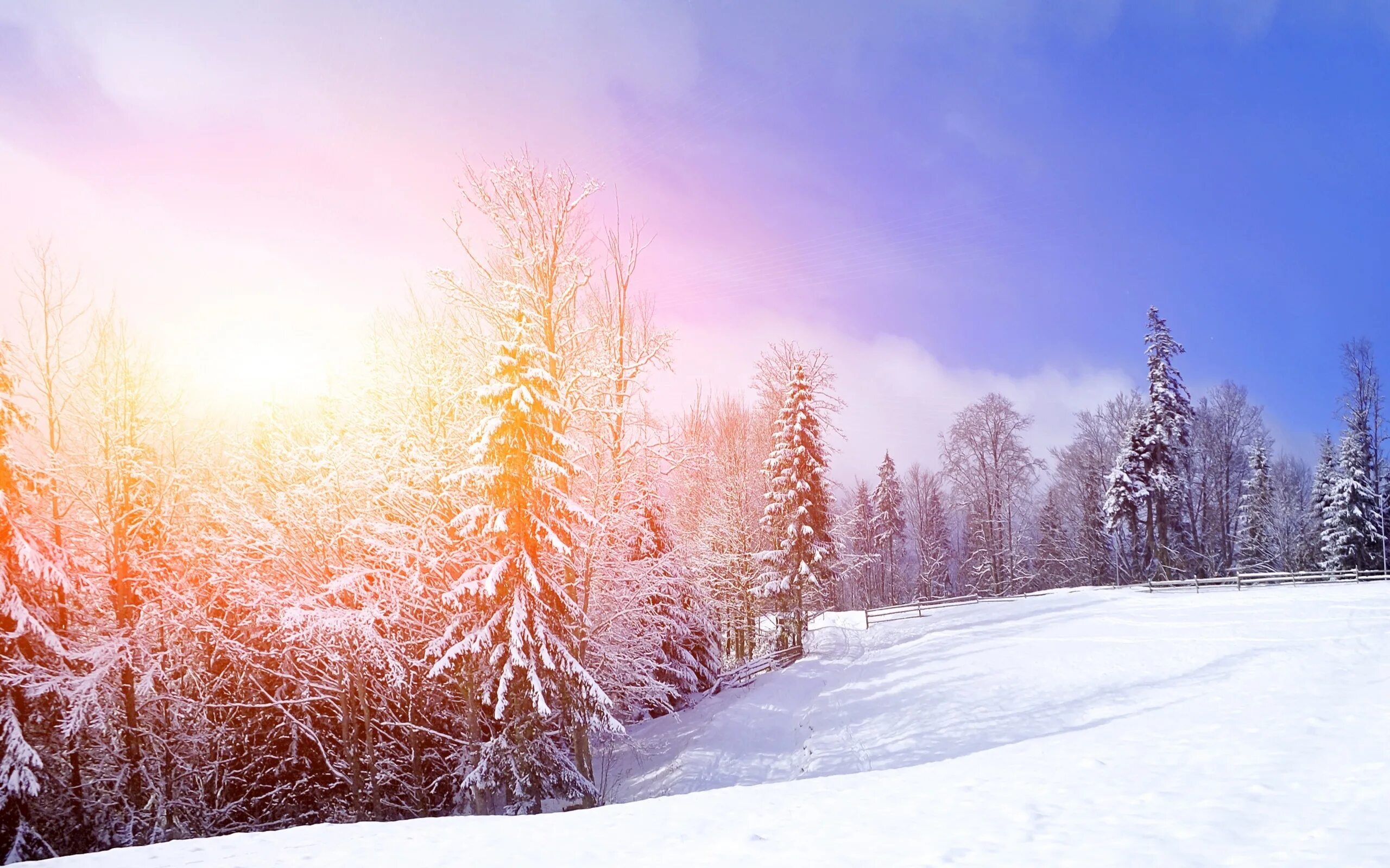 Снежный день на русском. Зима солнце. Зимний пейзаж. Красивая зима. Зимний лес.