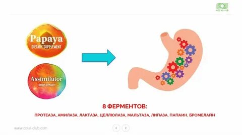 Оздоровление кишечника