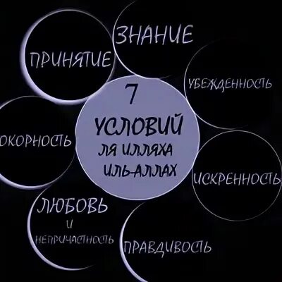 Lookman перевод