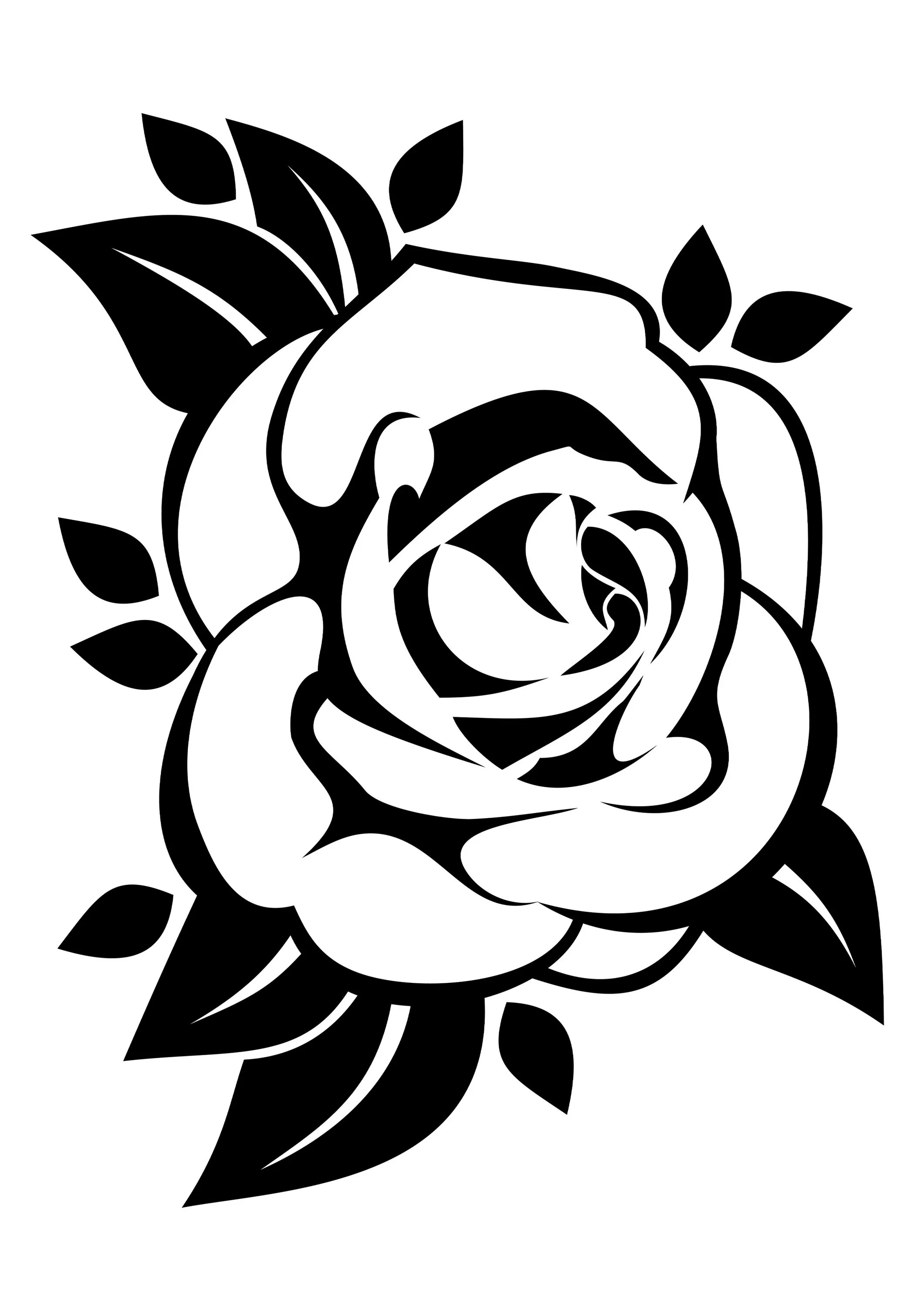 трафарет "розы". очертания розы. стилизация розы. белые цветы на черном. цветы чб.