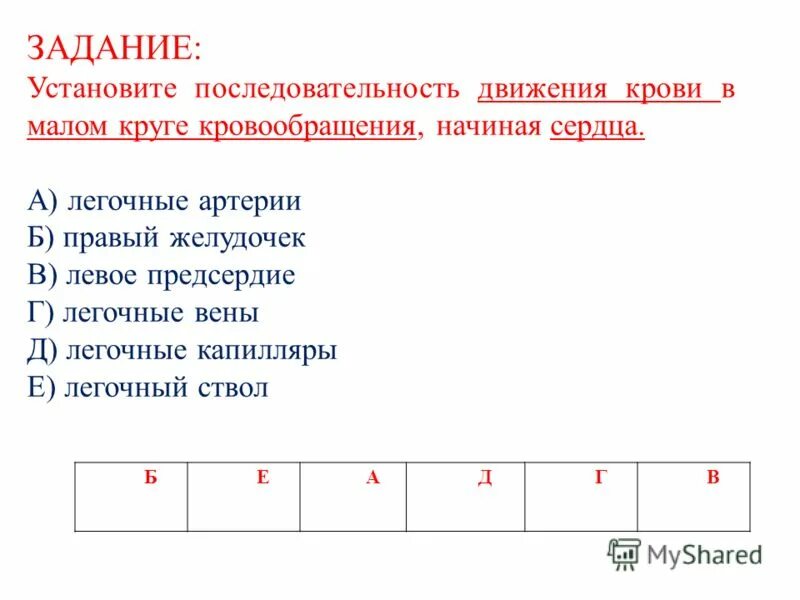 Установите последовательность движения крови. Последовательность движения крови в Малом круге. Установите последовательность движения крови по малому кругу. Последовательность прохождения крови в Малом круге кровообращения.