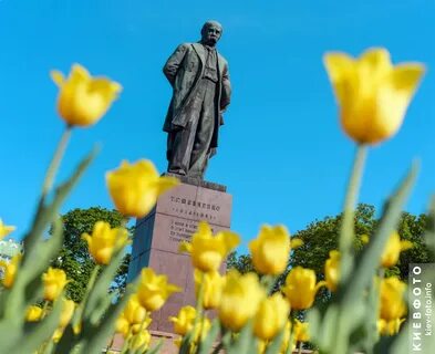 Памятник шевченко