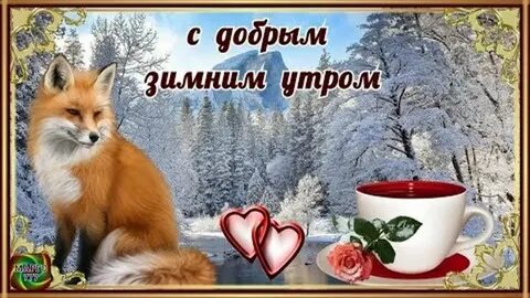 Видео с добрым зимним утром для ватсапа