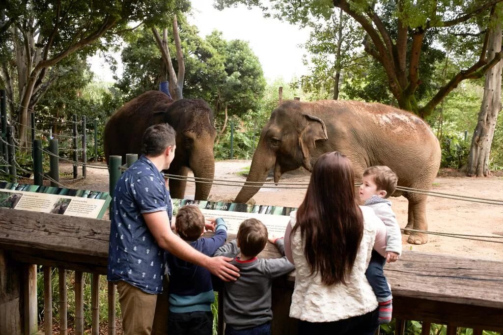 Zoo child. Дети в зоопарке. Посетители зоопарка. Семья в зоопарке. Малыши в зоопарке.