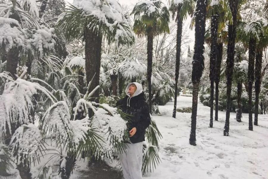 дождь и гроза сочи. климат сочи зима. похолодание в сочи. похолодание в сочи. дендрарий сочи зима.