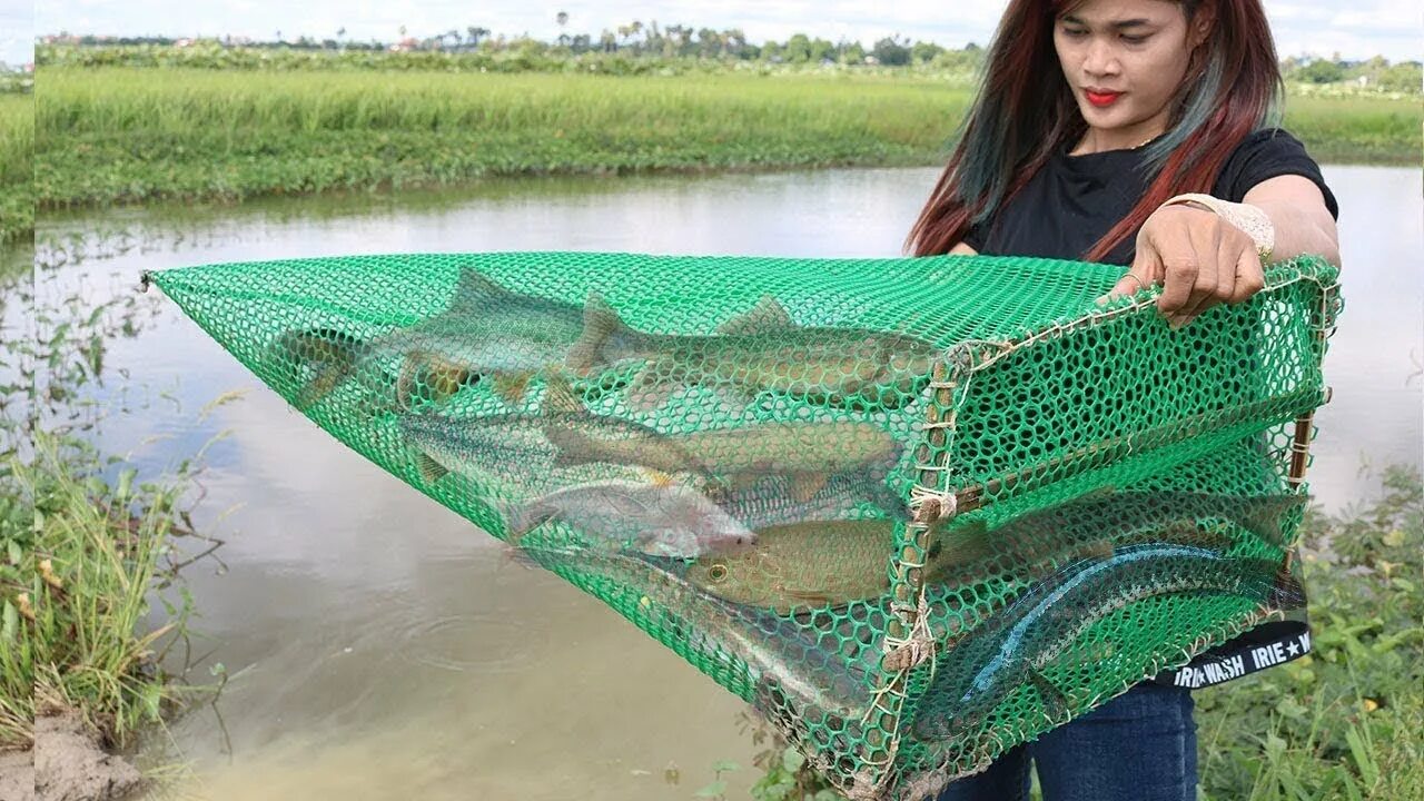 ЛОВУШКА для рыбы. Ловушки для рыбалки. Морда для ловли рыбы. Верши для рыбалки. Ловли мода