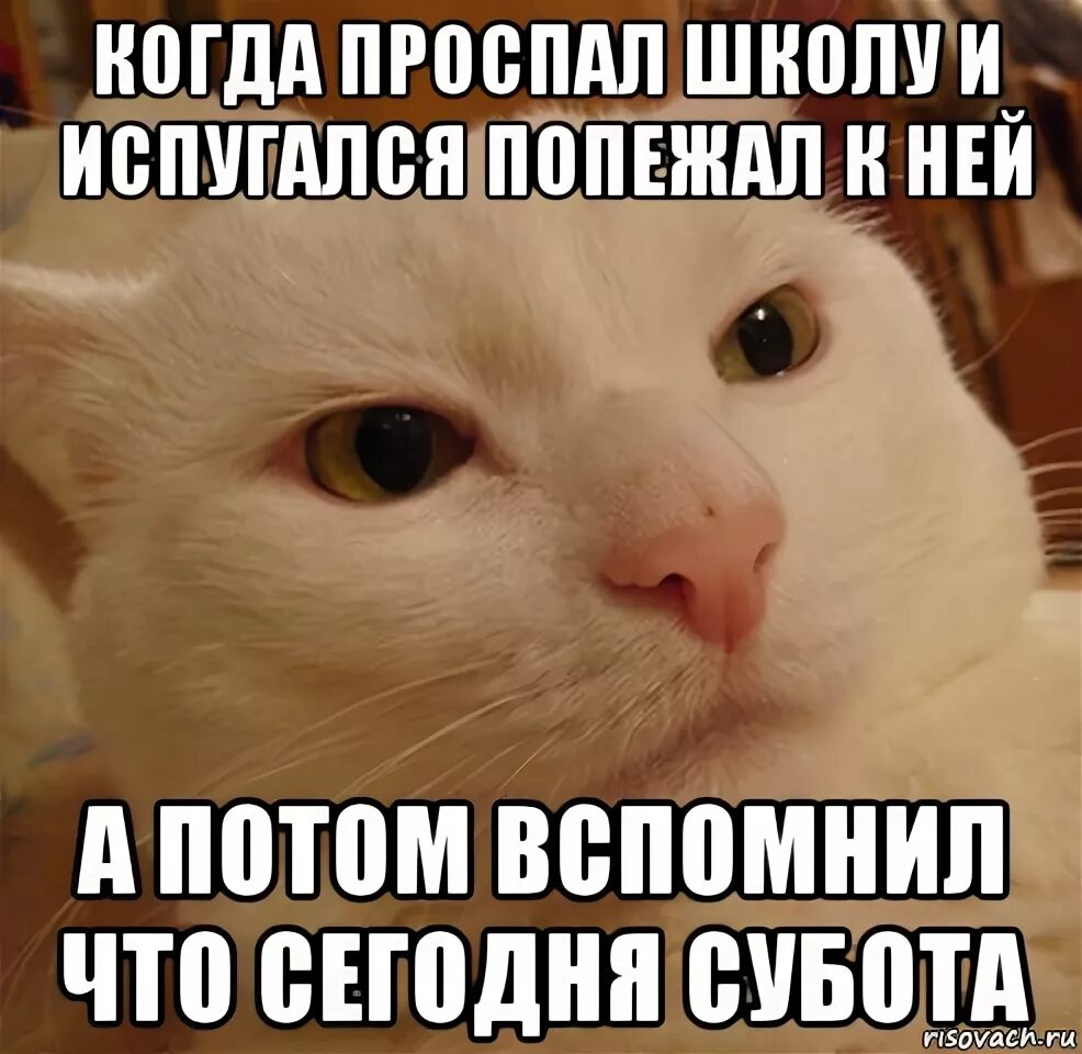 Зарю проспать рубахи не достать что значит