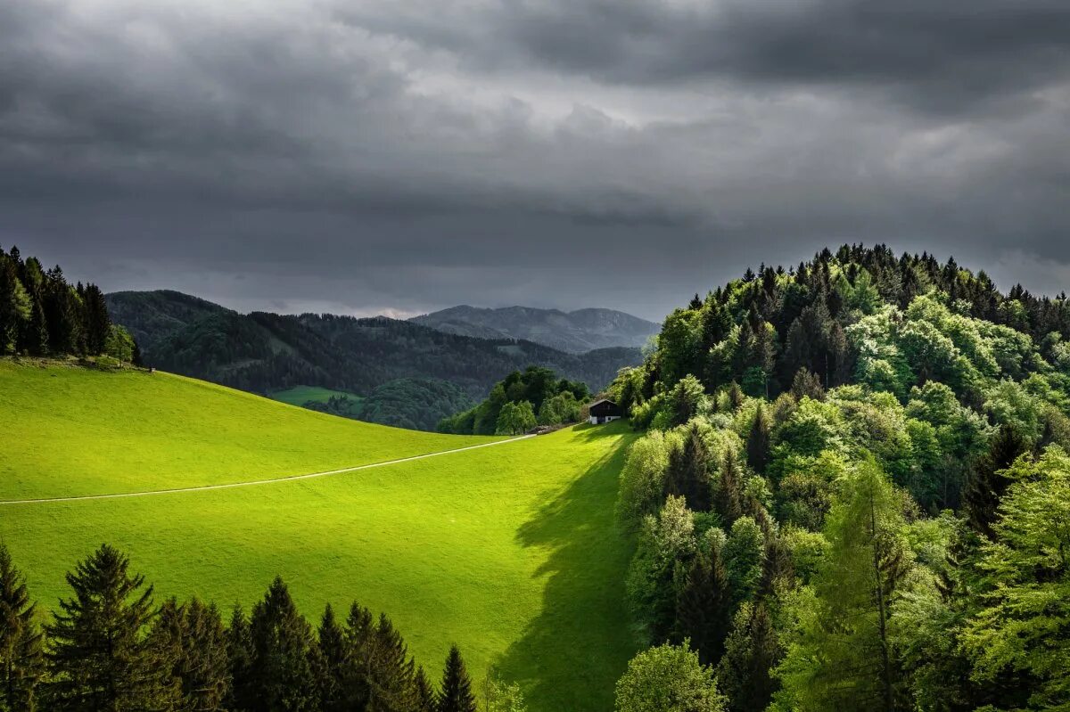 Beautiful hill. Лесистые холмы Швейцария. Лесистые Карпаты. Зелёные холмы Гринфилд. Пейзаж леса.