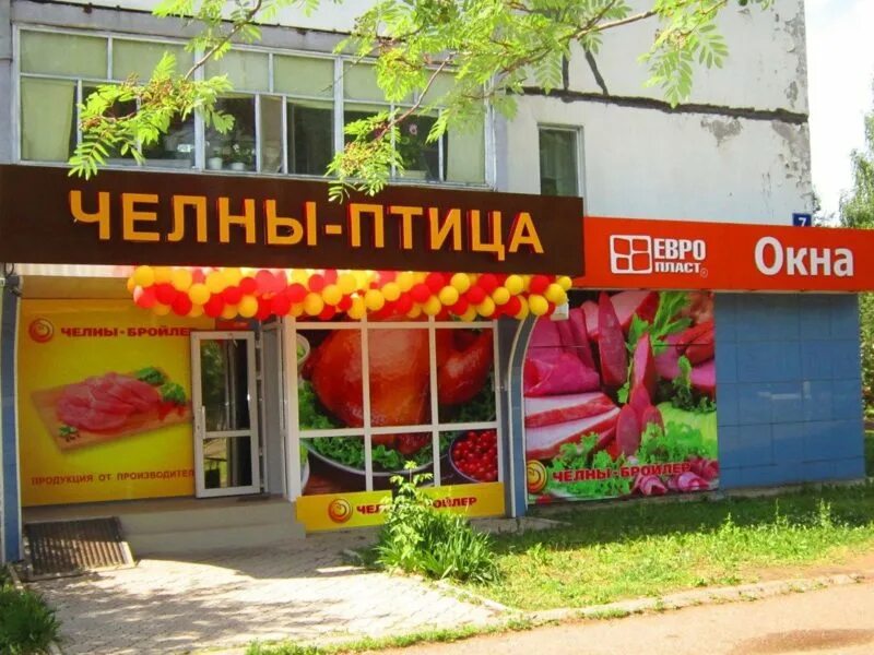 Птицы набережных челнов. Набережные челны парк прибрежный скульптура чайка. Набережная урай. Набережные челны птица. Лесные птицы республики татарстан.