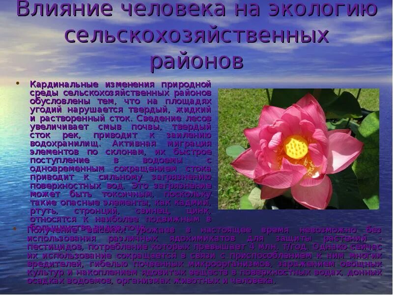 Воздействие сельского хозяйства на окружающую среду. Влияние человека на окружающую среду презентация. влияние человека на экологию сельскохозяйственных районов. влияние человека на субтропики. влияние человека на экологию окружающей среды презентация.
