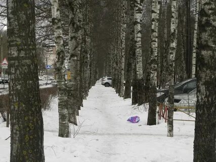 Тропа 73