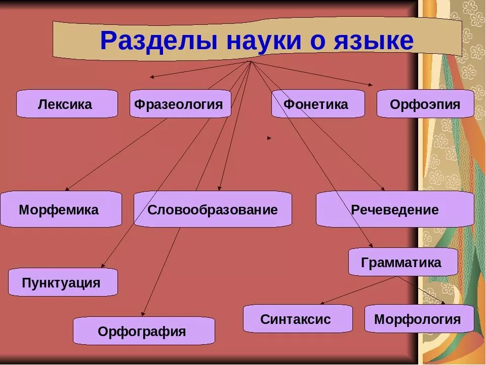 Какие области науки бывают. Рашлелы русского языка. Размерделы русского языка. Зардаллы науки о языка. Разделы науки о русском языке.