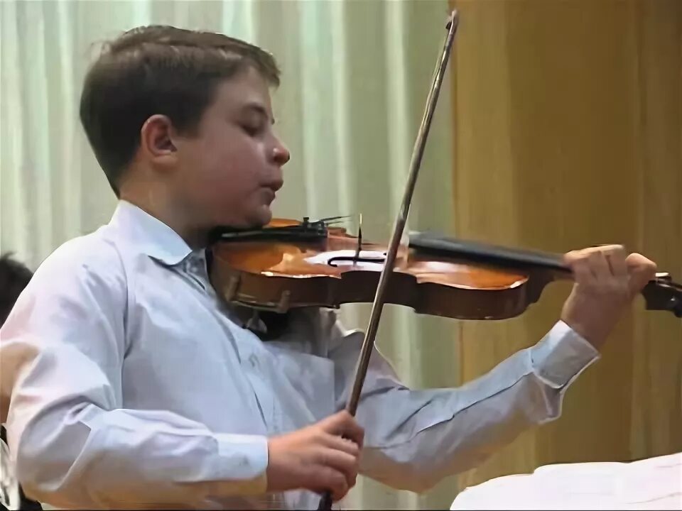 Шмель скрипка