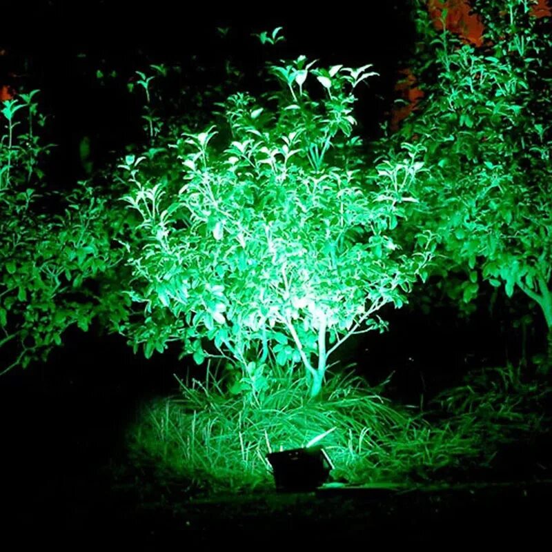 Зеленый прожектор для подсветки деревьев. Подсветка деревьев прожекторами. Зеленая подсветка деревьев. Ночная подсветка сосна. Вечернее освещение ландшафта.