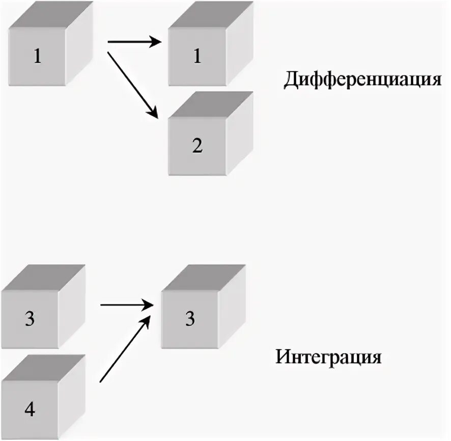 Процесс интеграции и дифференциации