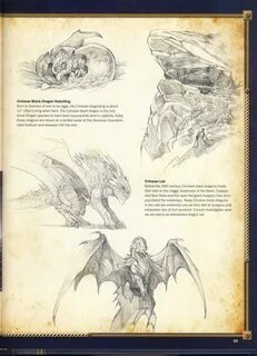 Книга черный дракон читать