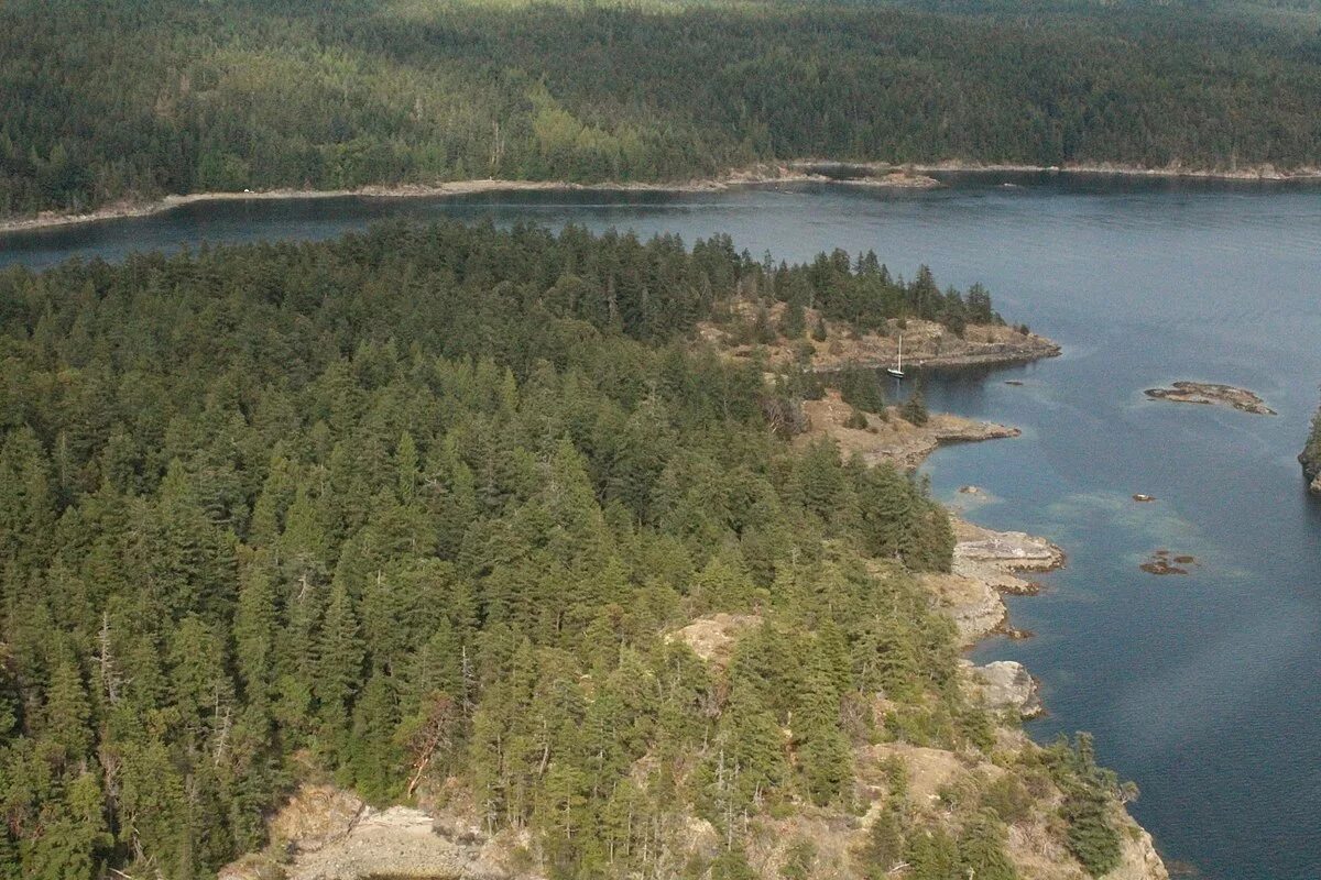 Island значение. Лайн-Айлендс. Острове Коупленд. Оноуеа-Виллидж лайн-Айлендс Кирибати. Летс лай файлендс песня.