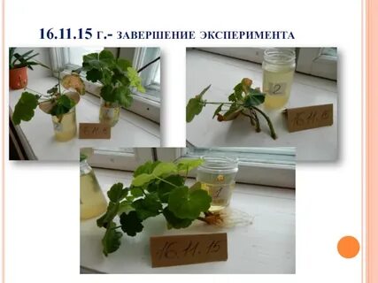 Побег эксперименты