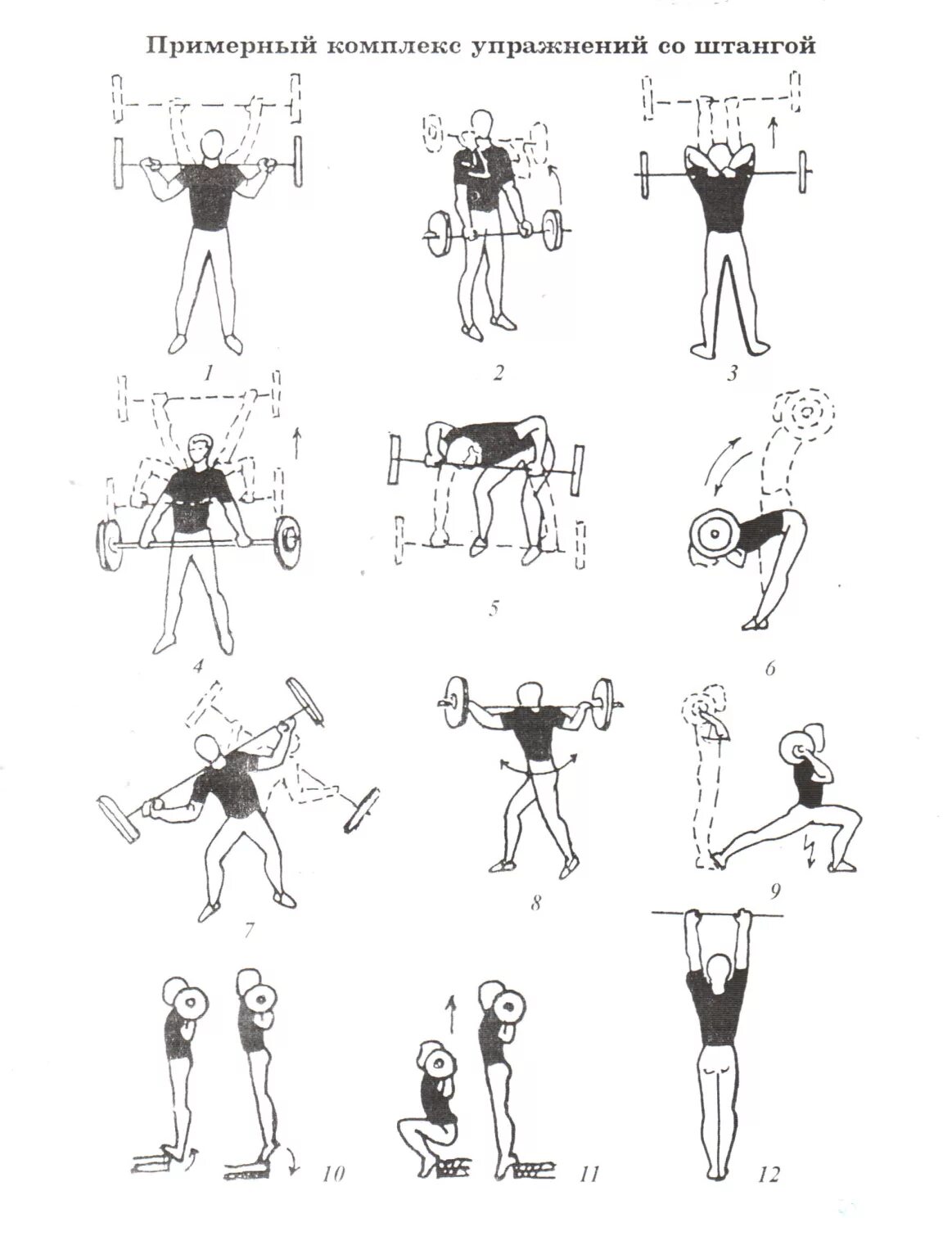 Программа штанга гантели. Программа тренировок со штангой. Схема упражнений с гантелями. Упражнения с гантелями для девушек. Упражнения с гантелями названия.