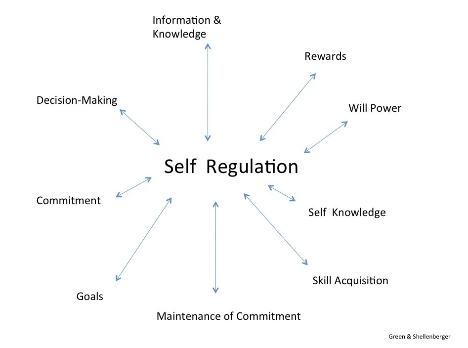 Self method. Self Regulation. Self-Regulation Psychology. The model of self Regulation. Self-Regulation of Mental States.