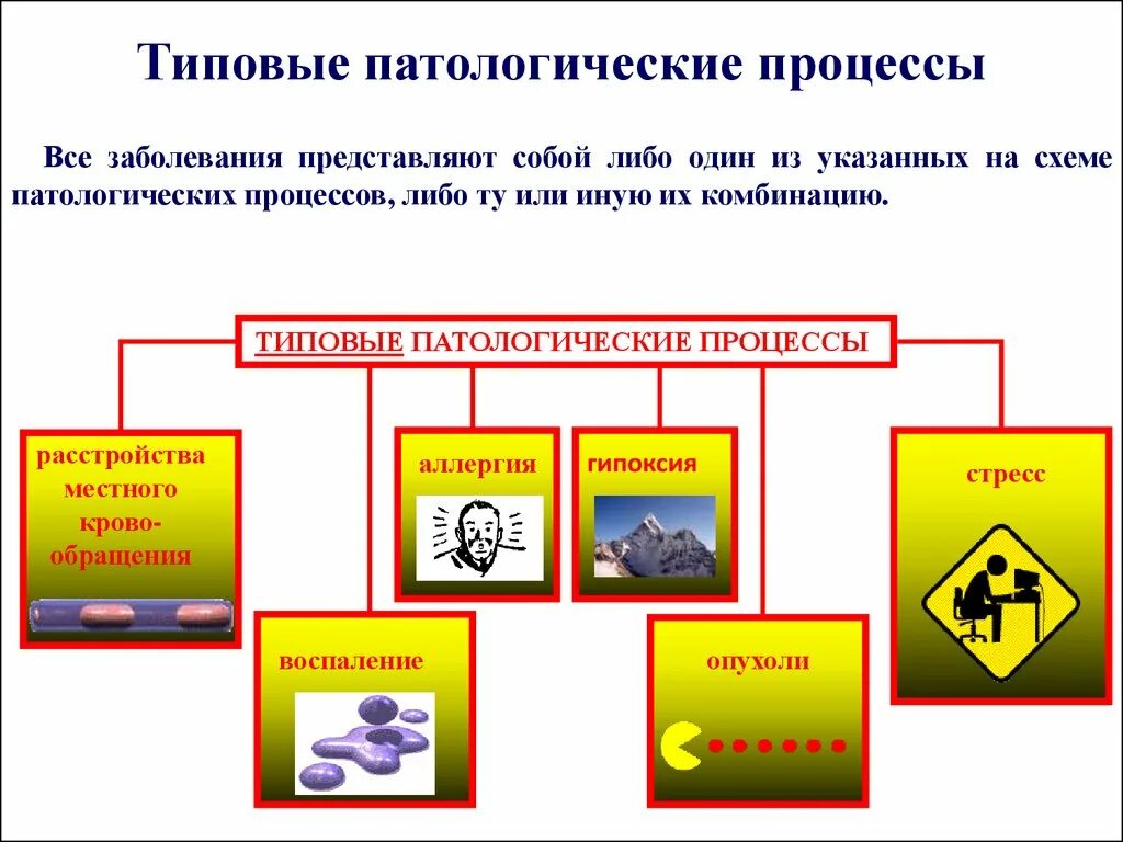 Причины патологических процессов. Основные типовые патологические процессы. Патологический процесс. Типовый патологические процессы. Патологический процесс примеры.