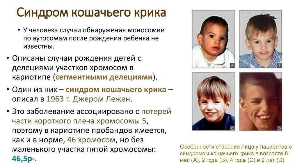 Кошачья болезнь у детей
