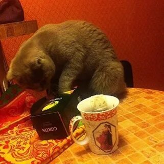 Чай жди