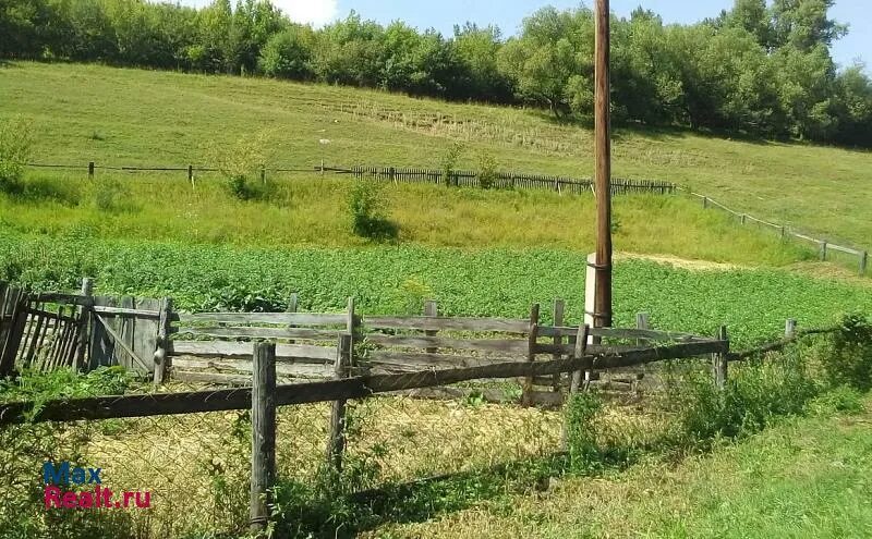 Объявление село алтайское. Село Сараса. Село Сараса Алтайский край. Продаваемые участки земли село Алтайское. Фруктовый сад в селе Алтайском.