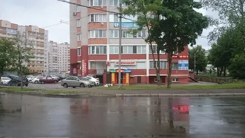 Оптимист черняховского 25