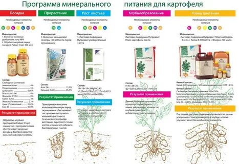 Минеральное питание огурца