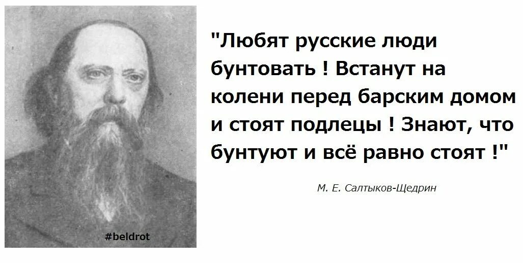 Прочитайте современный народный афоризм никогда человек не. Салтыков-Щедрин о русском народе. Цитаты Салтыкова-Щедрина про Россию. Салтыков Щедрин цитаты про власть России. Салтыков Щедрин о народе.