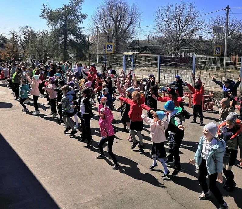 \1 школа ст. школа 1 ст багаевская. \1 школа ст. багаевский район станица багаевская. школа №1 хоринска фото.