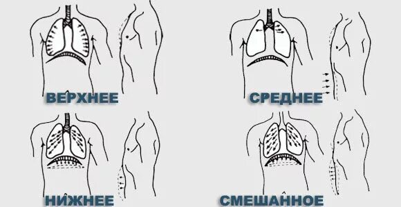 Среднее дыхание. Верхнее грудное дыхание. Ключичное дыхание. Среднее дыхание. Среднее дыхание.
