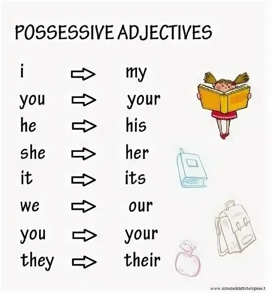 Possessive adjectives в английском языке. Possessive adjectives for Kids. Possessive pronouns for Kids. Possessive adjectives упражнения. Possessive adjectives worksheet