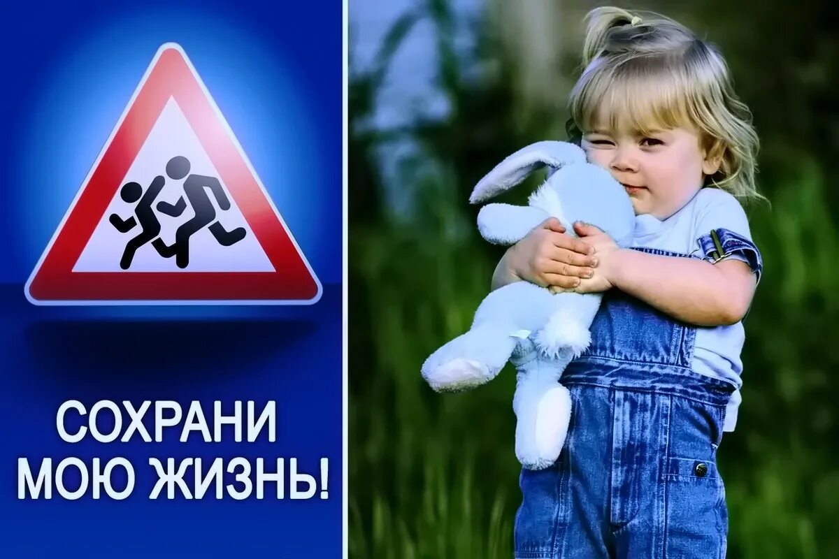 Сохрани жизнь в пути