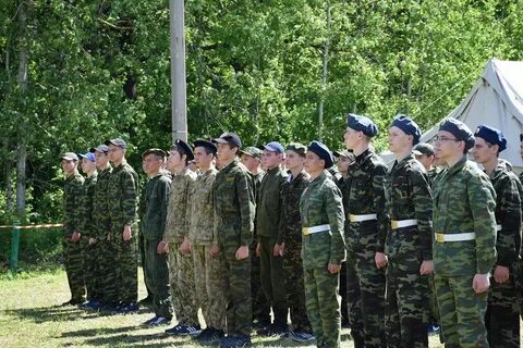 Полевые сборы