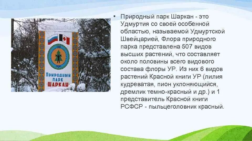 Шарканский заповедник Удмуртии. Природный парк Шаркан Удмуртия. Природный парк Шаркан Удмуртия сообщение. Природный парк Шаркан презентация.