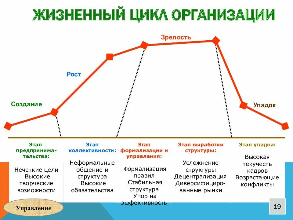 Время создания цикла. Энтони даунс жизненный цикл организации. жизненный цикл организации и управление человеческими ресурсами. этапы жизненного цикла компании график. стадии жизненного цикла организации теория организации.