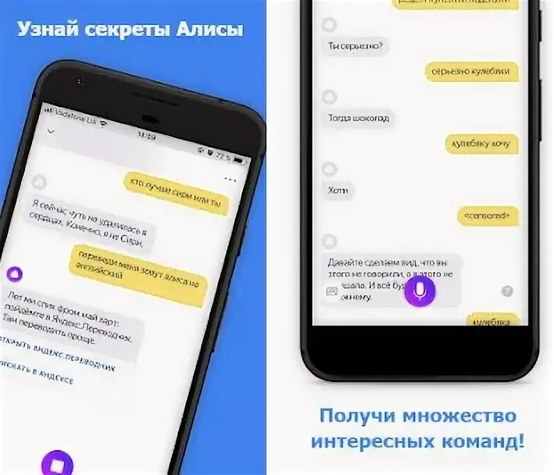 Алиса говорит что нет интернета. Алиса голосовой помощник на английском языке. тайны алисы голосовой помощник. алиса которая может разговаривать.