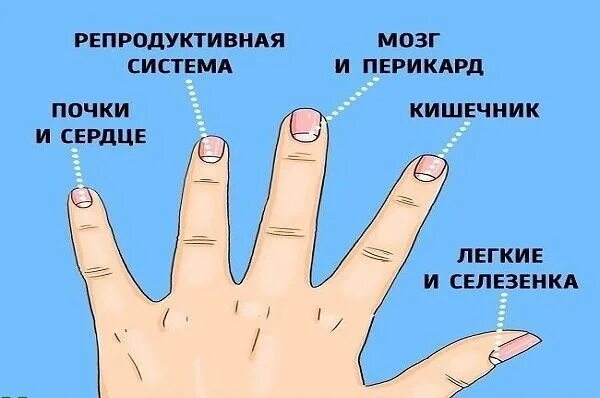 Почему нету точка