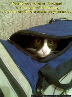 Пора и честь знать