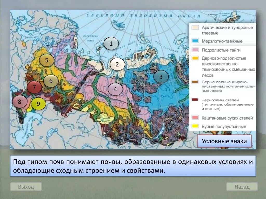 Тундрово глеевые какая природная зона